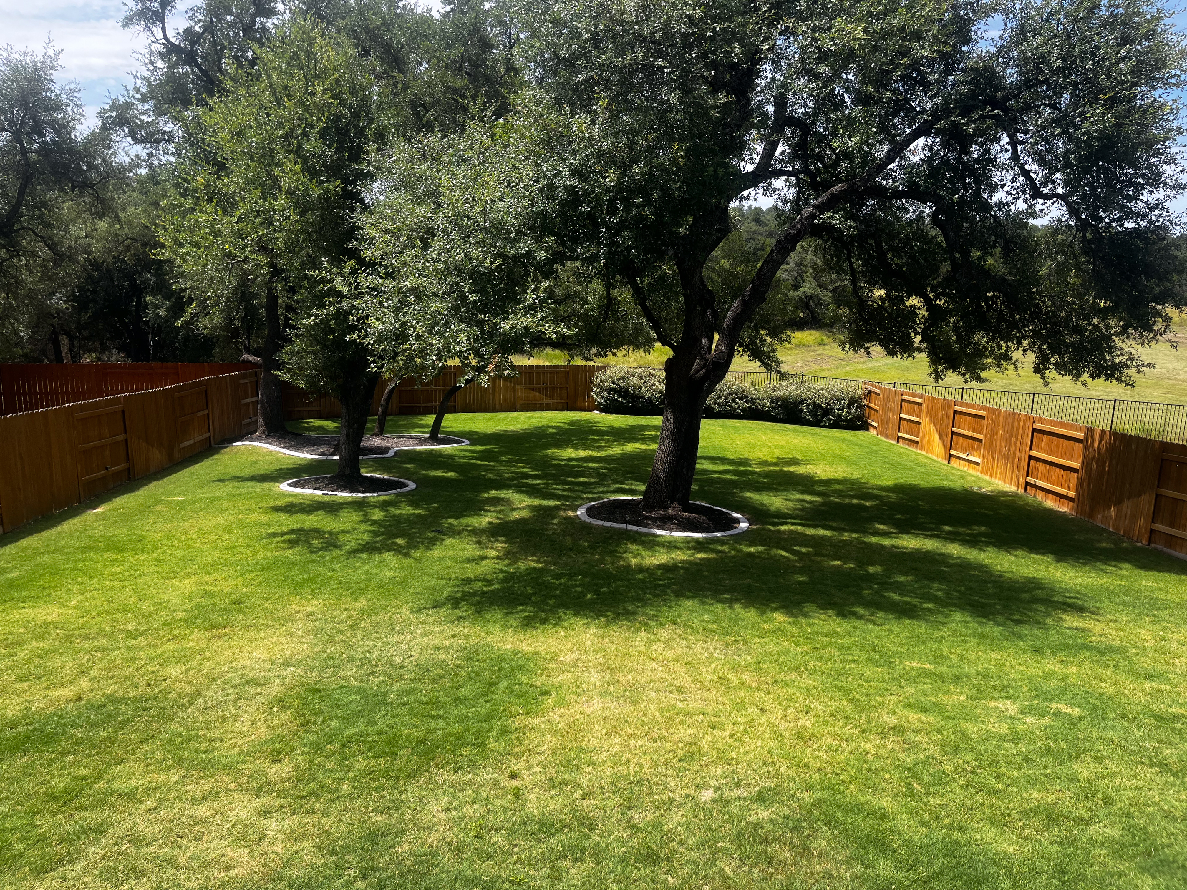 Beautiful landscaped garden with lush greenery and modern design elements